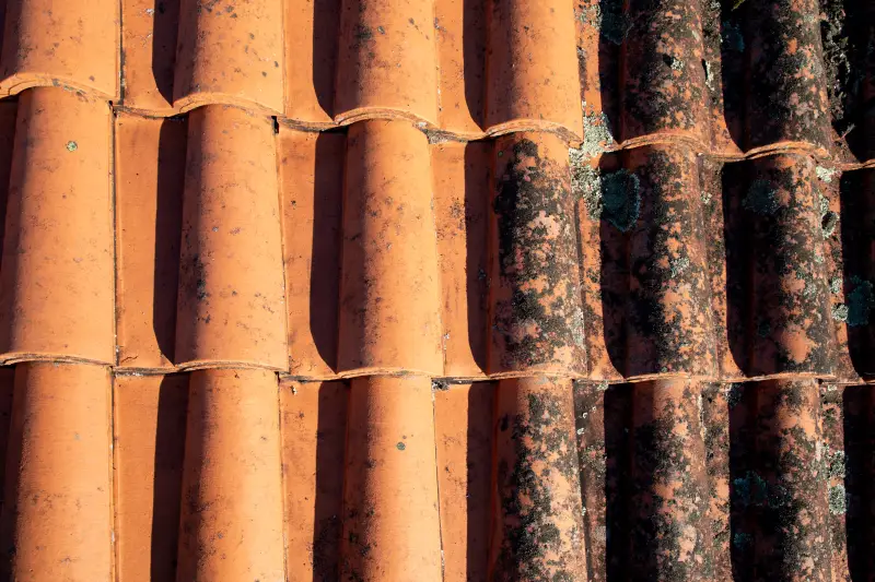 wf couverture peinture vernon 27 nettoyage entretien tuiles toiture